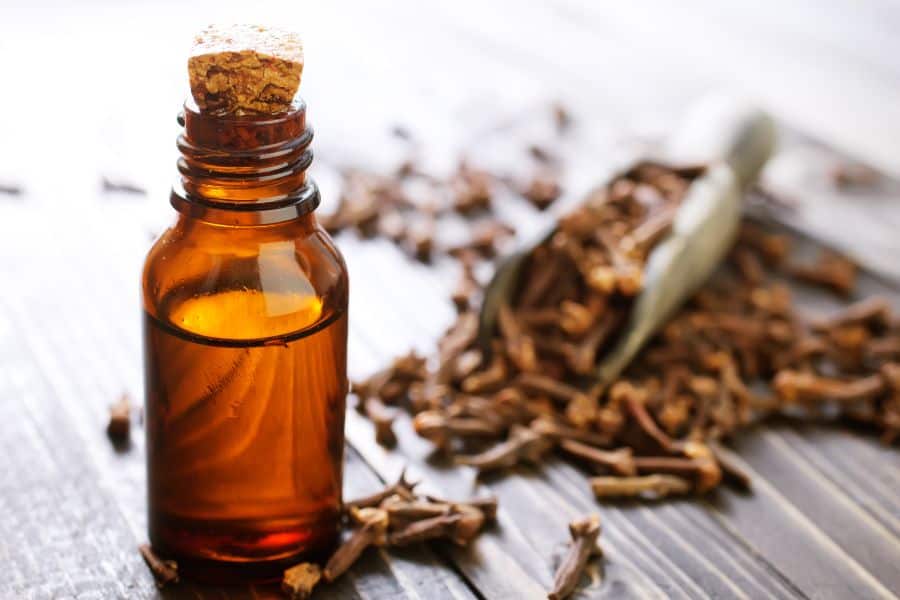 Clove Oil