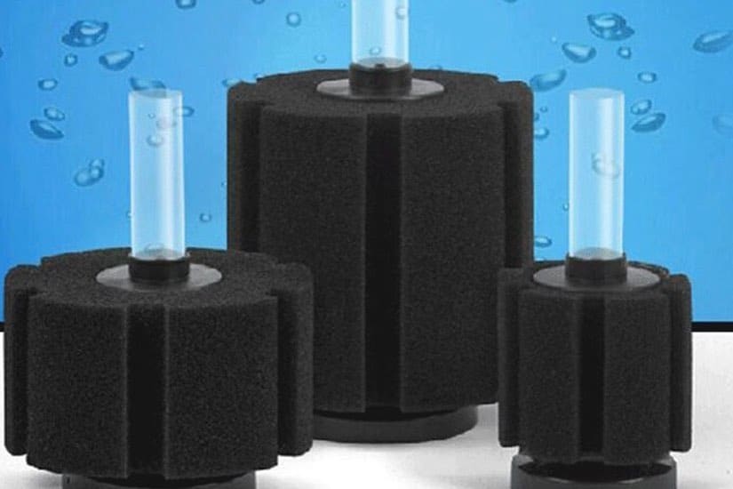 sponge filter