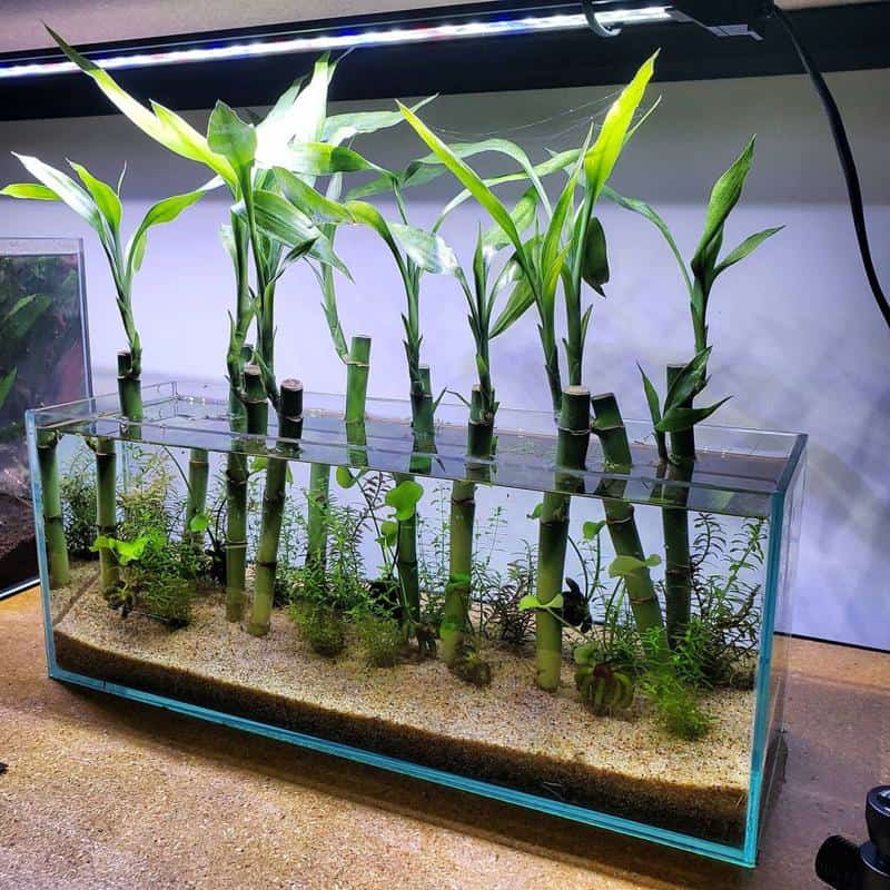 Bamboo fish tank decoration hotsell