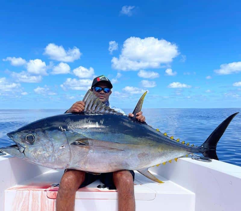 Bigeye Tuna