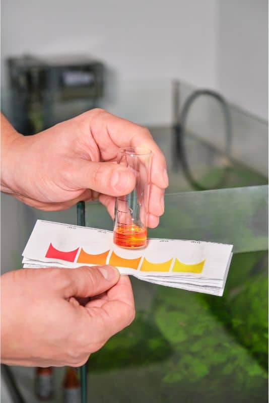 Nitrite Test of Aquarium Water